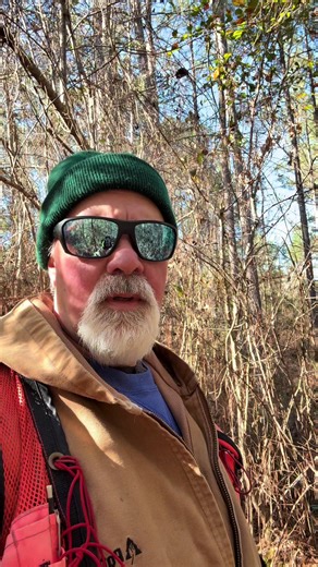 Timber Marking Techniques for Forestry Professionals