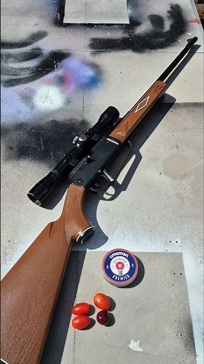 Daisy Powerline 880: The Ultimate Tomato Destroyer!