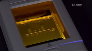 How To Quickly Purify DNA with E-Gel CloneWell II Gels - Scientific Videos | Thermo Fisher Scientific US