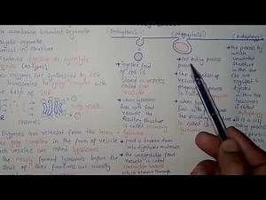 Lysosomes Structure And Functions | Federal And KPK Board | Ali Academy