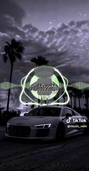 DJ Aligator Project - Intro Remix for Music Lovers