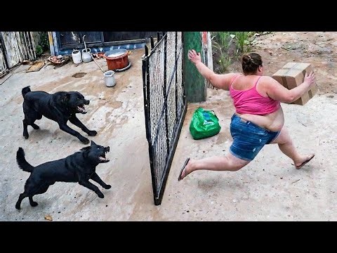 When Package Thieves Get Instant Karma | Caught On CCTV #3