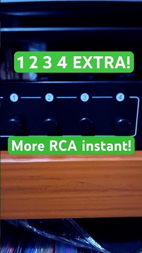 Transform Your Setup: Add RCA Inputs in Minutes! #audio #audiophile #audiocable