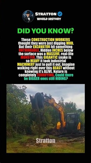 Excavator Digs Up a Massive Monster Snake 🐍🚜