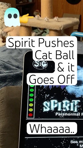 Spirit Taps Cat Ball and it Falls Over and Lights Up #ghost