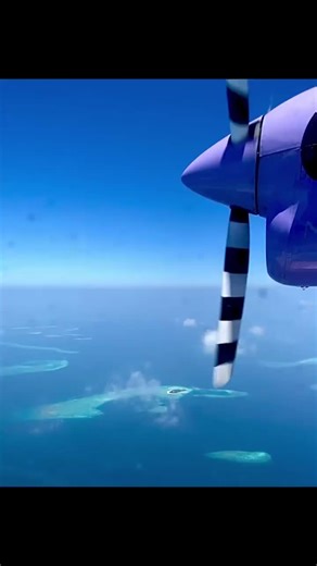 Arriving to @reethibeachresort with @mantaair . . . . . 👉👉To have a chance to be featured, follow @divingpassport and repost one of our posts in your story, or post your best photo/video using Tag @divingpassport 👈👈 #divingpassport #cavediving #scubadiving #水肺潛水 #plongee