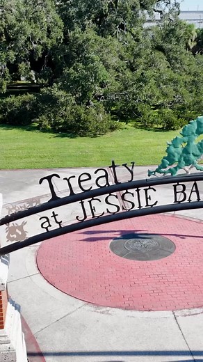 🌳 The One and Only Treaty Oak 🌳 “This beloved tree is a field specimen Southern Live Oak, best known for its size, age and legendary past. Over 70 feet tall, with a 25-foot trunk circumference, the so-called Treaty Oak is at least two centuries old. In the early 1900, Giant Oak, as it was called then, was often festooned with electric lights. As the main attraction of Dixieland Amusement Park, where Babe Ruth once played baseball and John Phillip Sousa gave a concert, it provided shady picnic