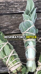 You’ll find 800 beneficial plants and remedies inside this amazing book. It includes recipes of tinctures, teas, decoctions, essential oils, infusions, and many other natural remedies that our grandparents used for centuries. What’s also special about this book is that it has between 2 and 4 high-definition color pictures for each plant and detailed identification guidelines to make sure you’ve got it right. https://www.thelostremedies.com/book . | The Lost Book of Herbal Remedies