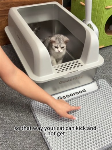 XL Stainless Steel Cat Litter Box Review — Best Upgrade for Cat Moms