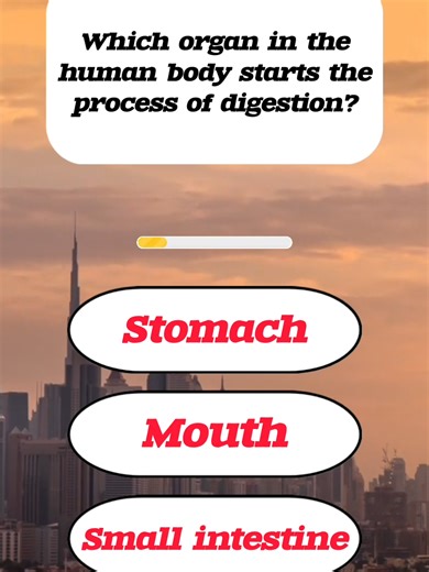 Human Digestive System Quiz: Test Your Biology Skills