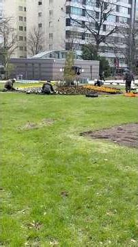 [Today's cherry blossom flowerbed creation💐] Sapporo Odori Park, April 23, 2026