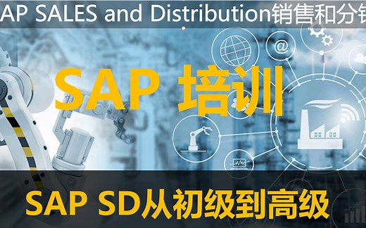 SAP S/4 HANA SD 系统课程