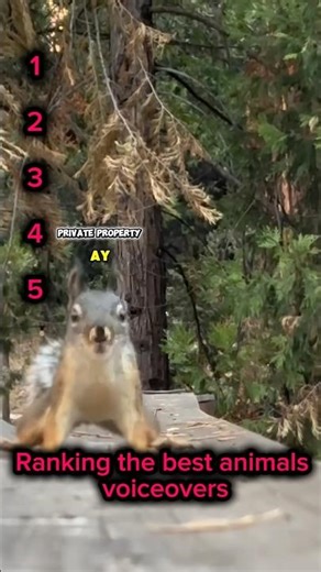RANKING THE BEST ANIMALS VOICEOVERS