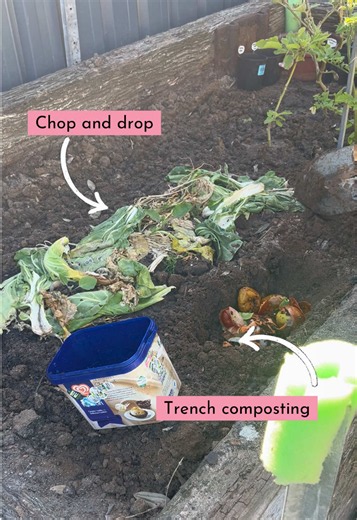 Using simple composting methods to feed the garden 🌱♻️ — trench composting with kitchen scraps and chop-and-drop with garden waste #backyardgarden #growyourownfood #composting #gardening #creatorsearchinsights