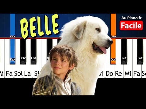 Belle Piano Tuto Très facile du film "Belle et Sébastien"