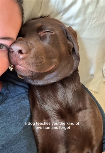 The Unconditional Love of Dogs