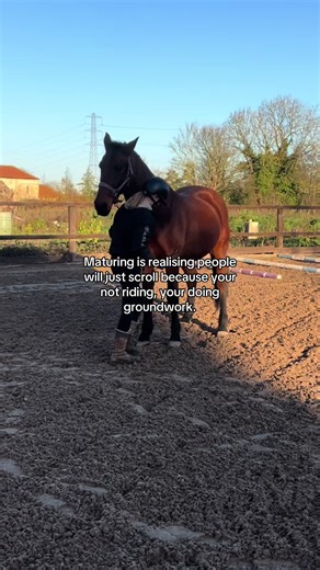 The Benefits of Groundwork in Equestrian Training