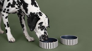 ペット用品｜IKEA【公式】家具・インテリア雑貨通販