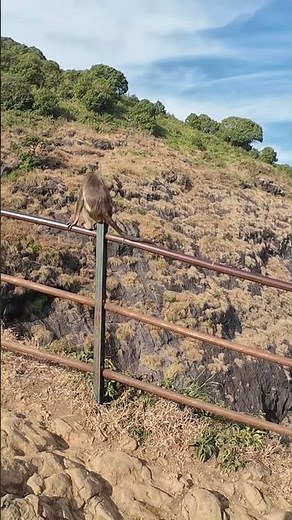 Nature at Its Best 🌿 | Relaxing Scenery & Soothing Sounds