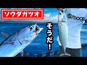 【館山ソウダガツオ】急遽ソウダガツオ釣りしてみた！