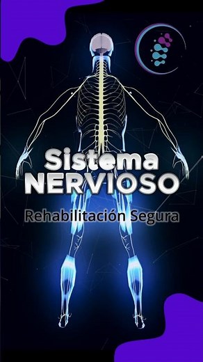 ¿Qué es el sistema nervioso? #fisioterapia #sistemanervioso #anatomia