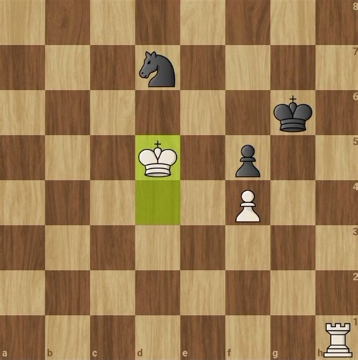 The Rook Saves the Day! ♖🔥😵
