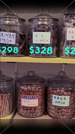 Most Expensive Sea Cucumbers $1200/lb