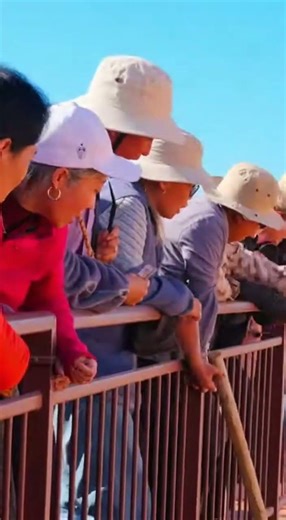 Lion vs Goat Showdown: Nature's Intense Drama! #wildlife #predator #nature #prey