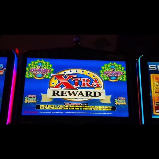 SURPRISE JACKPOT on the Adorned Peacock Slot! YOU JUST NEVER KNOW! #Shorts