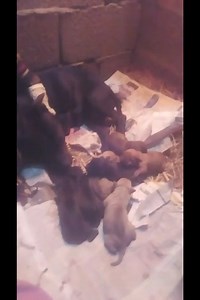 3.6K views · 45 reactions | It was a long night yesterday, but...