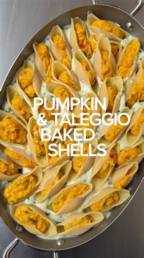 Delicious Pumpkin Stuffed Shells with Taleggio Sauce