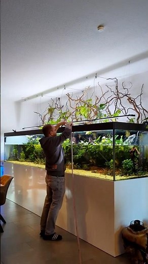 Water change in the 3000L tank 🔥
