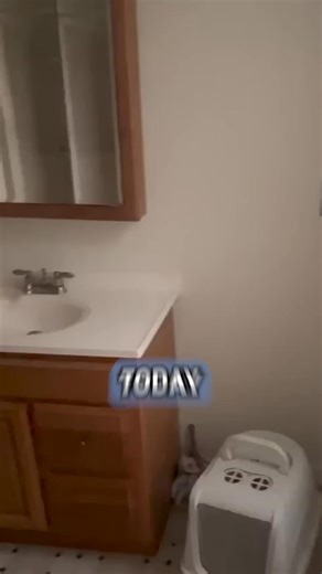 22K views · 419 reactions | Our Boy's Bathroom Renovation Reveal! #reno #diy #farmhouse | Farmhouse on Boone | Facebook