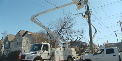 NES moving to ‘aggressive’ tree trimming after more than 230K customers were without power during winter storm