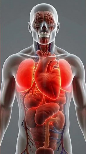 What Is Sepsis Actually Doing to Your Body? | 3D Medical Animation