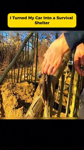 I Turned My Car Into a Survival Shelter #survivalcraft #camping #reel2025 #campingadventures #campinglife | Camping Food Adventures
