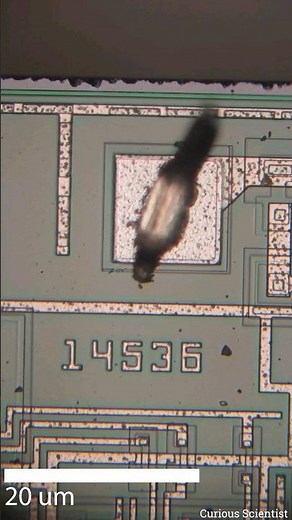 Inside of an MC14536BCL #chip. #electronics #microscope