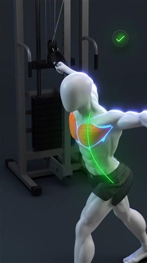 The Perfect Cable Chest Fly (Most PeopleDo It Wrong)🔥💪‪@WORKOUTBody‬ ‪@desigymfitness‬