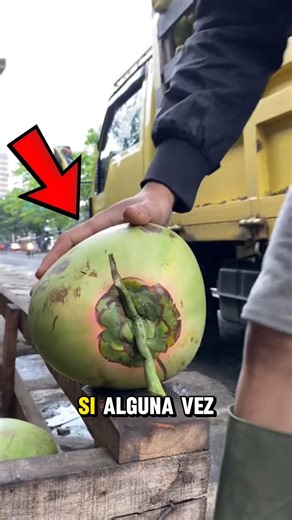 No cometas el error de comprar este coco 🤯