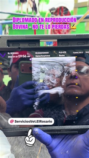 @_Ing.Mayra_Coro @Servicios Vet. El Rosario @proveganecuador @El Dok juan @Idelmar Barragán @Francisco Ríos @Ing. Julio Aguagallo @🐎 BurgosMendoza🦬 @Andy Tapia @Medical VetMed #ecuador🇪🇨 #diagnostico #cañar_ecuador🇪🇨❤️ #ecografia #zootecnista❤️