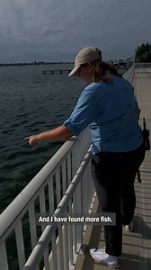 1.4K views · 21 reactions | 麗 It’s a marine life scavenger hunt! Go...