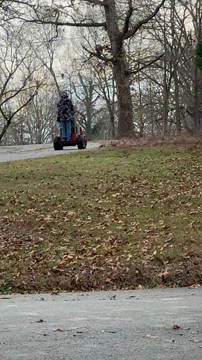 1.4K views · 20 reactions | There won’t be a  left on this hillside. | Kelly Hall | Facebook