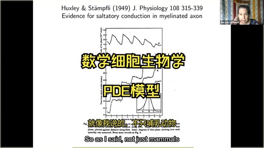 21 PDE模型【中配+中字】