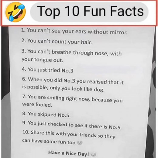 2M views · 16K reactions | I Know You Laugh藍 . . . . . . . . . . . . . . . #meme #explore #reelsinstagram #instagramreels #trending #trendingmemes #lol #funnymemes #memepage #funfacts #memesdaily #laugh #laughalways #foryou #followformore #hahaha #藍藍藍 #fbmemes #fbmemetemplate | Respect The Word | Facebook