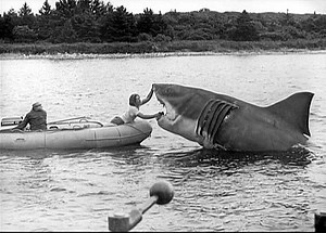 From the archives: 30 years after its release, in 2005, a festival was held on Martha's Vineyard in celebration of Steven Spielberg's "Jaws." Watch the whole video on our website, www.wcvb.com/chronicle 🦈🌊💙 #jaws #jawsmovie #spielberg #StevenSpielberg #marthasvineyard #marthasvineyardlife #capecod #capecodsummer #jawsbridge #classicmovies #classicfilm #richarddreyfuss #amityisland #vineyard #archives #wcvb | Chronicle on WCVB Channel 5