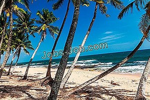 Como Obter Uma Licença De Barbeiro Na Flórida | Procura de emprego - 2025