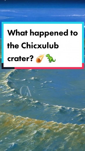 What happened to the Chicxulub crater? ☄️🦖
