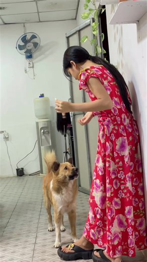 #နောက်ဆုံးမှာပြုံးပြတာကအသက်☺️#ချူးဟန်နီလင်း🤍 #family❤️🏳️‍🌈