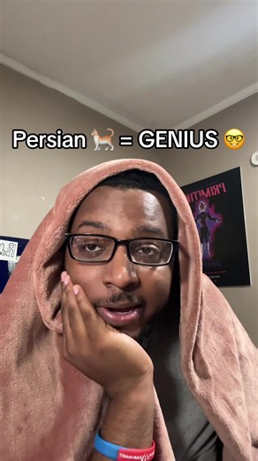 Does she know?? 🎥🌽#fyp #loveisland #persian #filmschool | persian cat