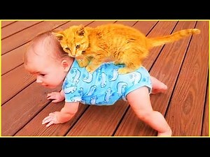 Best video of Cute Babies and Pets #4 - Funny Baby and Pet